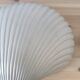 Pair of shell wall lights by Michèle Mahé, 1960s