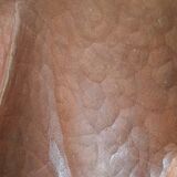 Abstract wooden sculpture