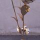 Floral floor lamp in pearlescent Capiz, 1970s.