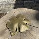Empty brass leaf pocket