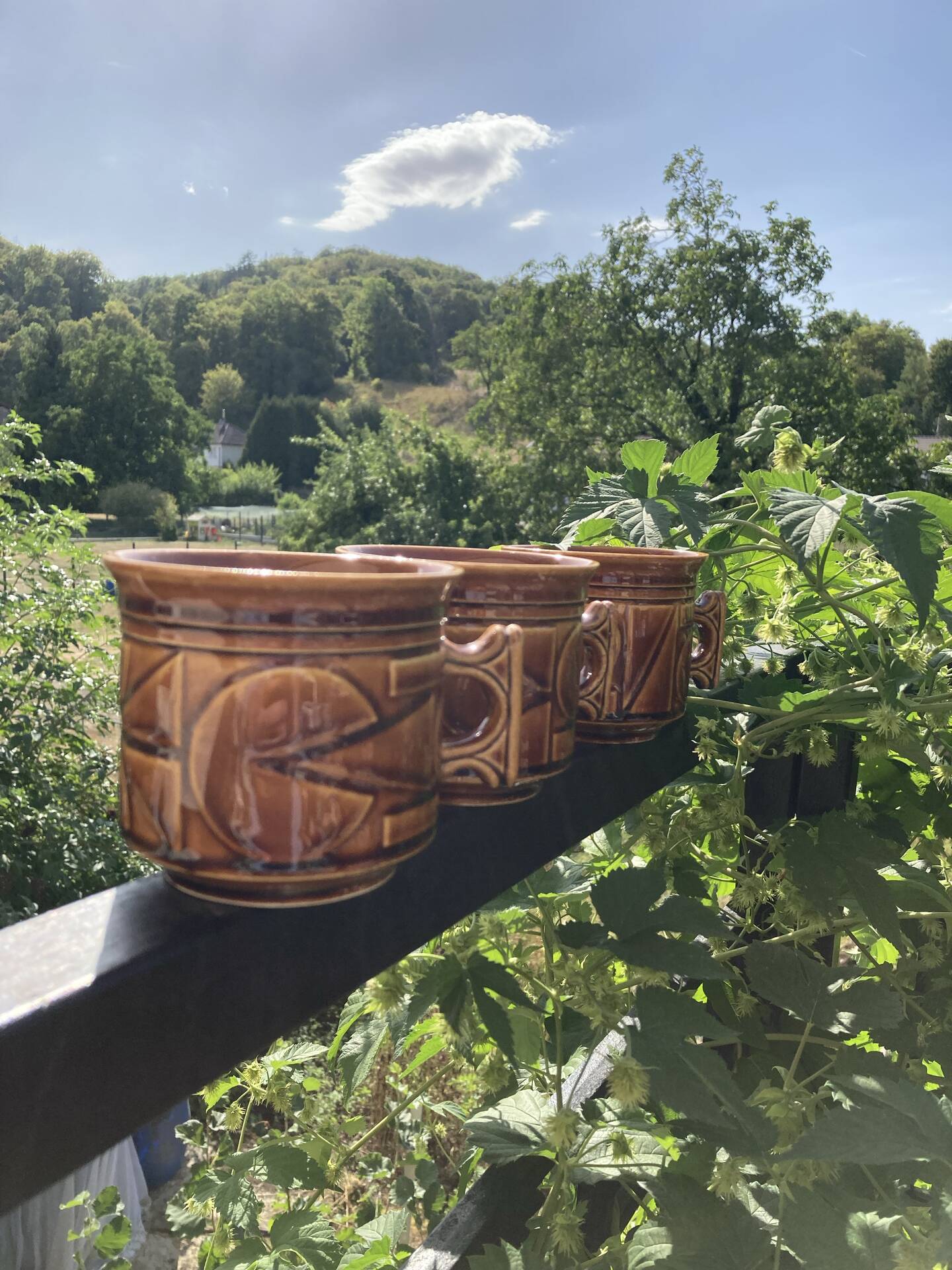 Space Age camel mugs