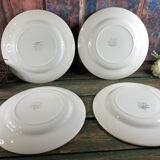 4 assiettes plates vintage fleur bleue Digoin Sarreguemines modele Valentin