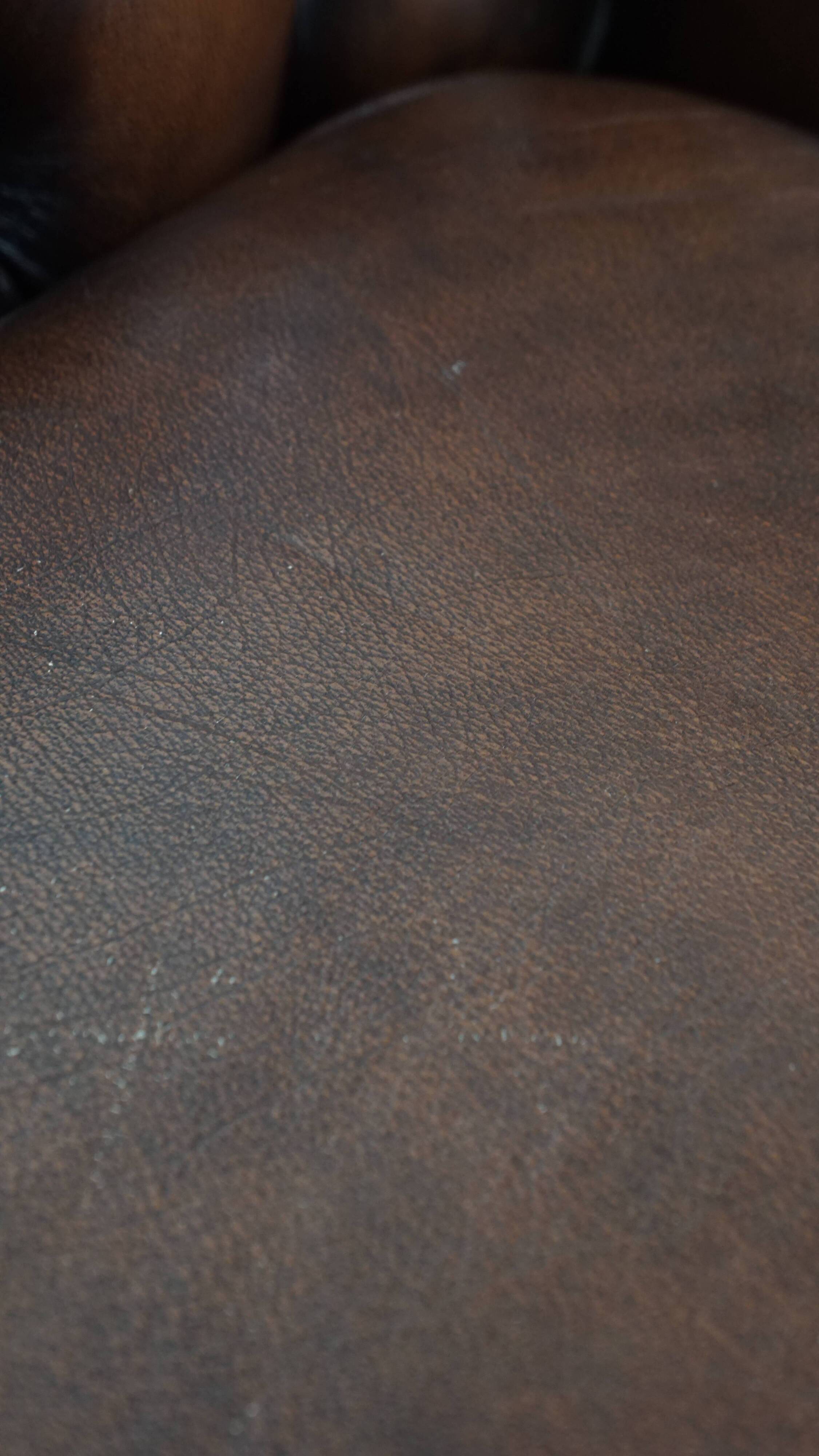 English style cowhide Chesterfield club chair