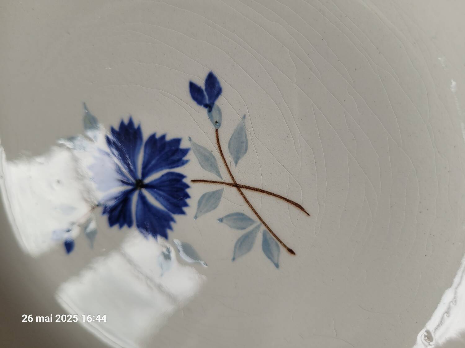 6 Moulin des Loups plates