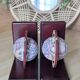 Pair of globe bookends (D-0043)