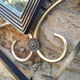 Forged iron mirror and gilded brass