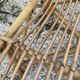 Set of 3 vintage rattan armchairs