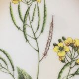 Wooden frame composed of a central piece of porcelain with floral motifs "Diplotaxis muralis"