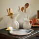 Plate barbotine duck / goose (French pottery)