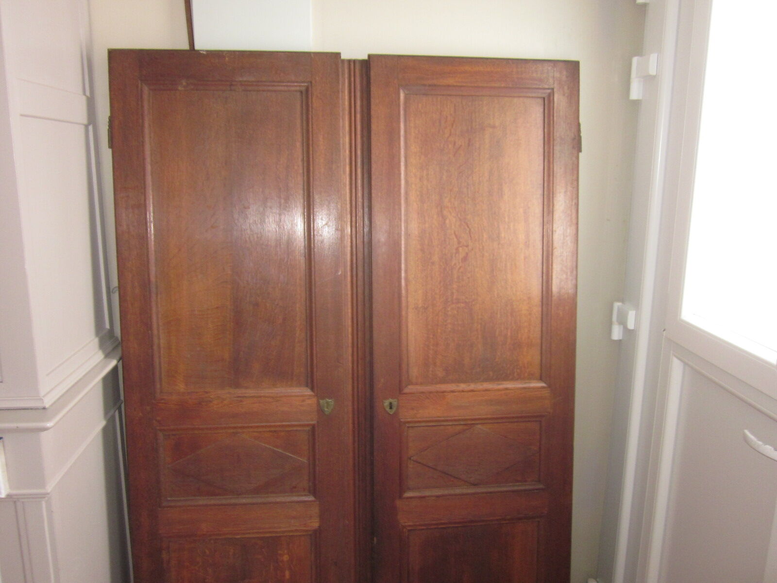Pair of old door