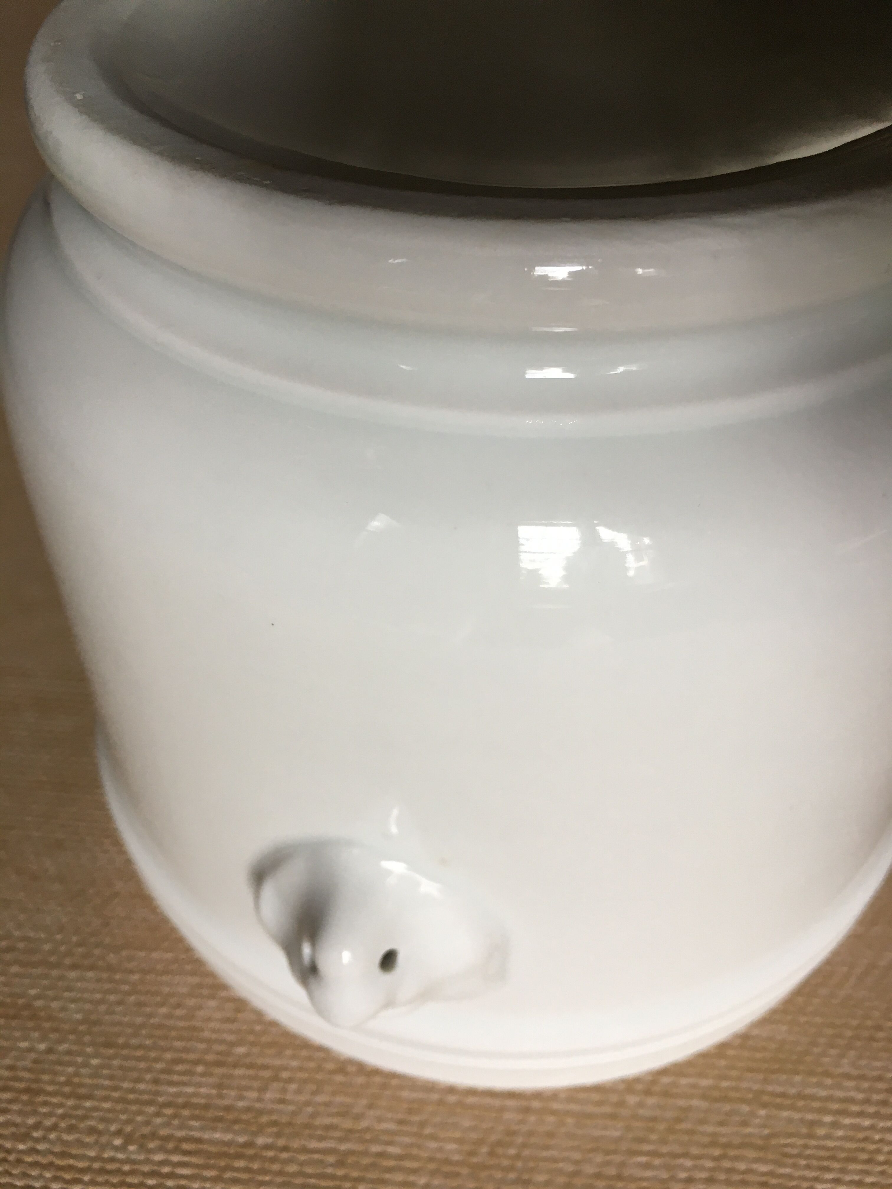 Cache pot tête de lion