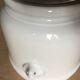 Cache pot tête de lion
