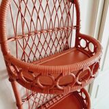 Terracotta rattan and wicker shelf