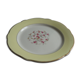 Dish