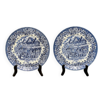 Paire d'assiettes Royal Tudor Ware. Angleterre,