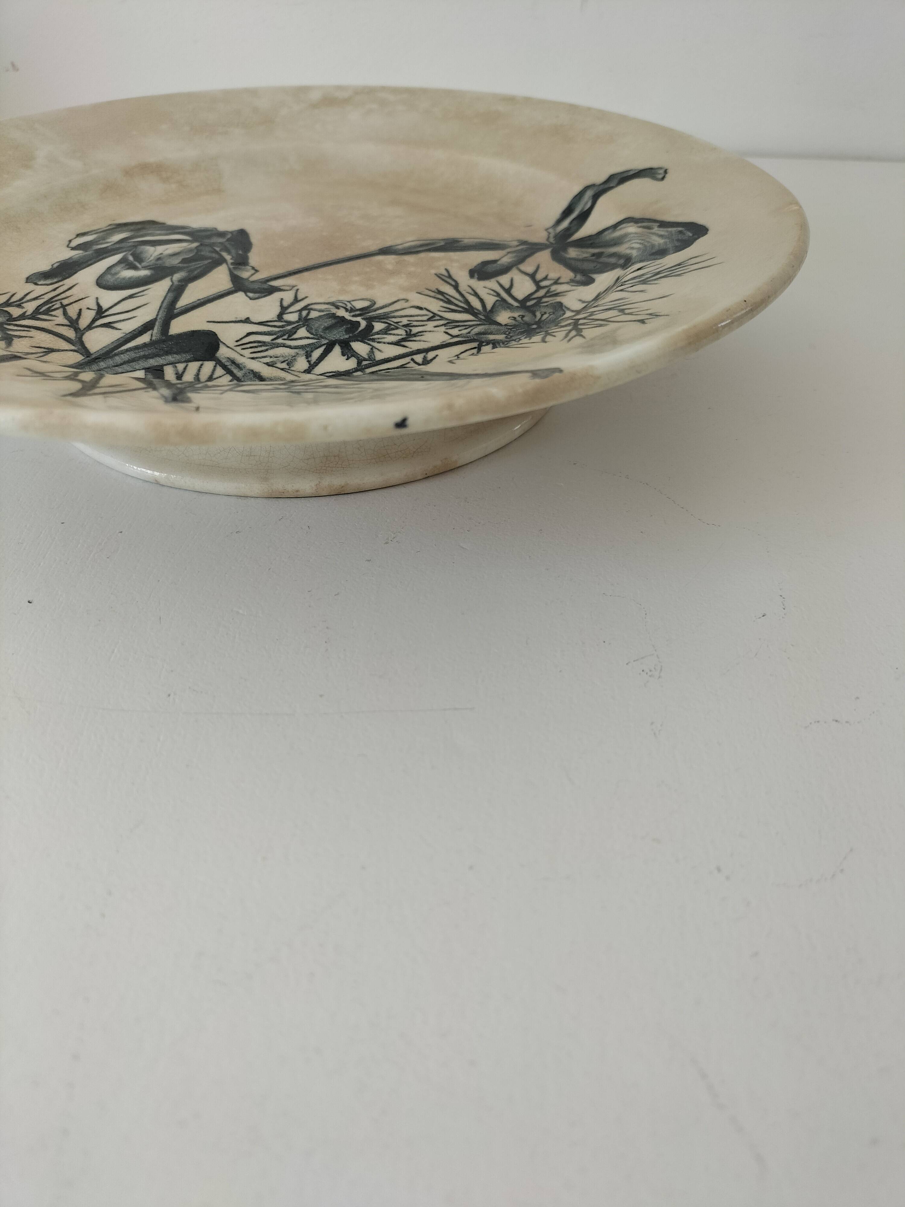 19th century pedestal plate Iron Earth