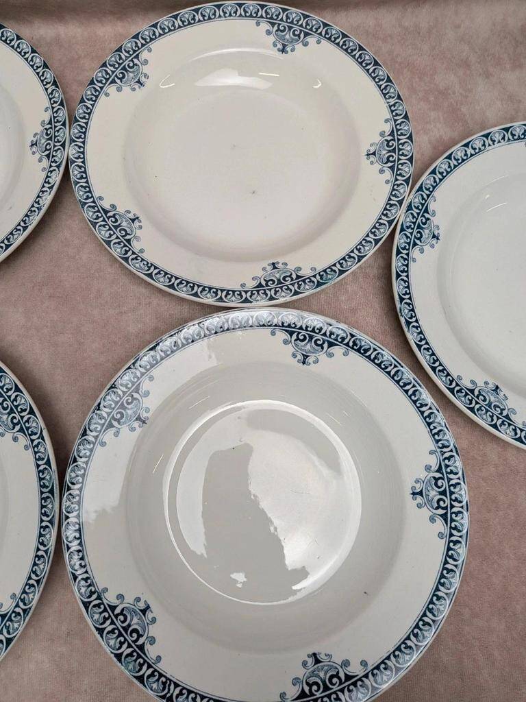 Set of 9 deep plates Terre de Fer St Amand model Andrinople