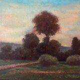 Tableau HST "Twilight Countryside" signed (?) + frame