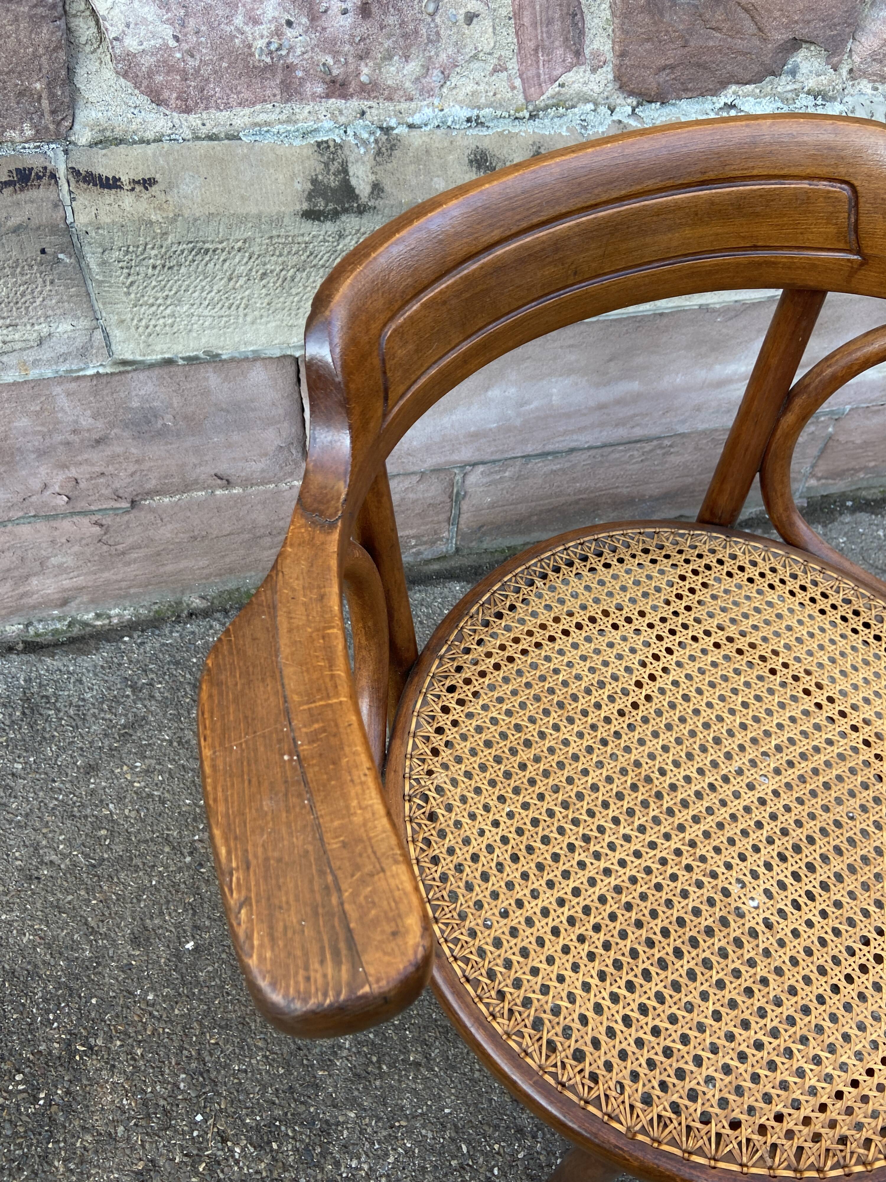 Viennese curved wood armchair Fischel circa 1920