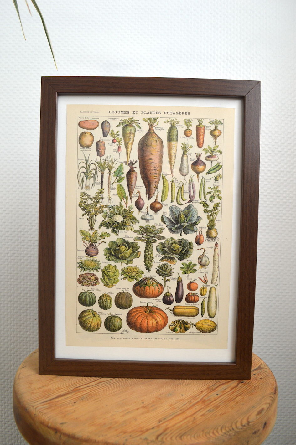 Lithograph vintage vegetables and vegetables framed 1923