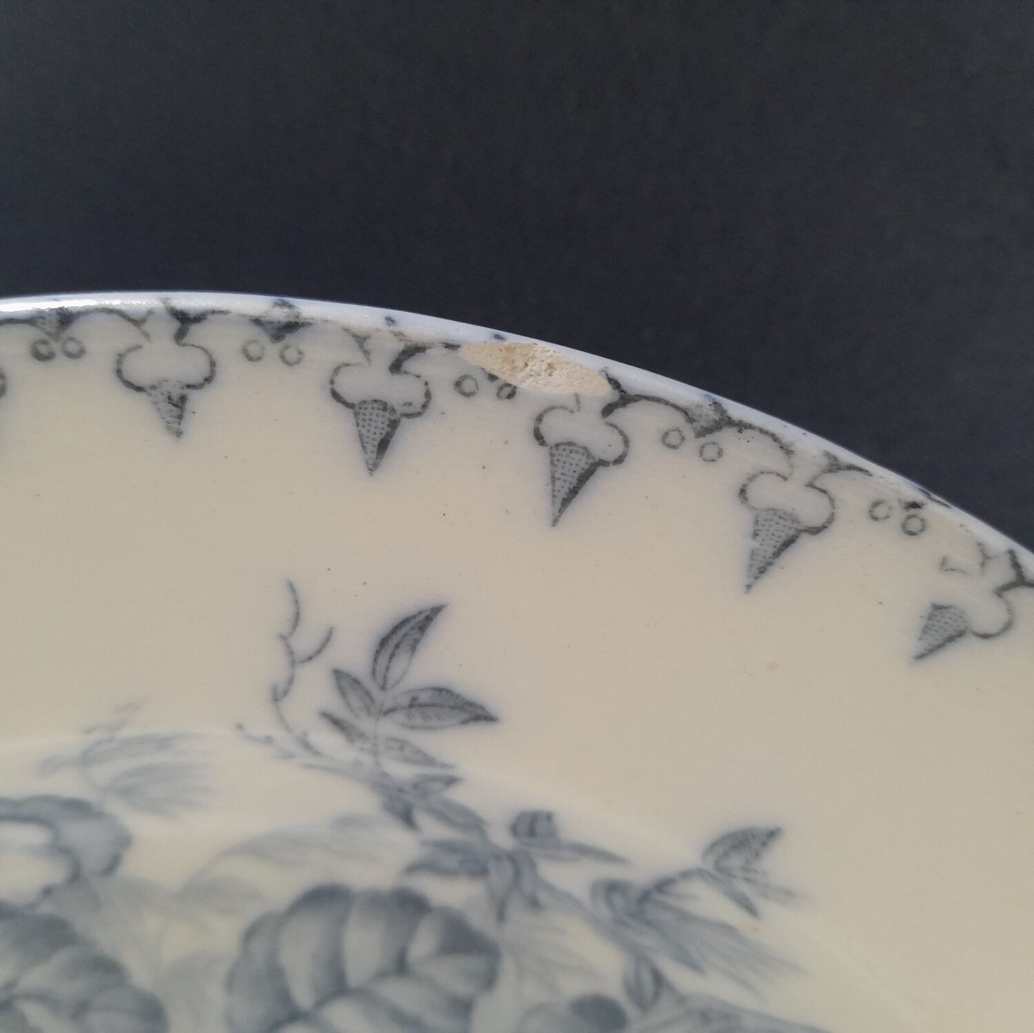 Hollow plates Flora of Sarreguemines - lot of 5