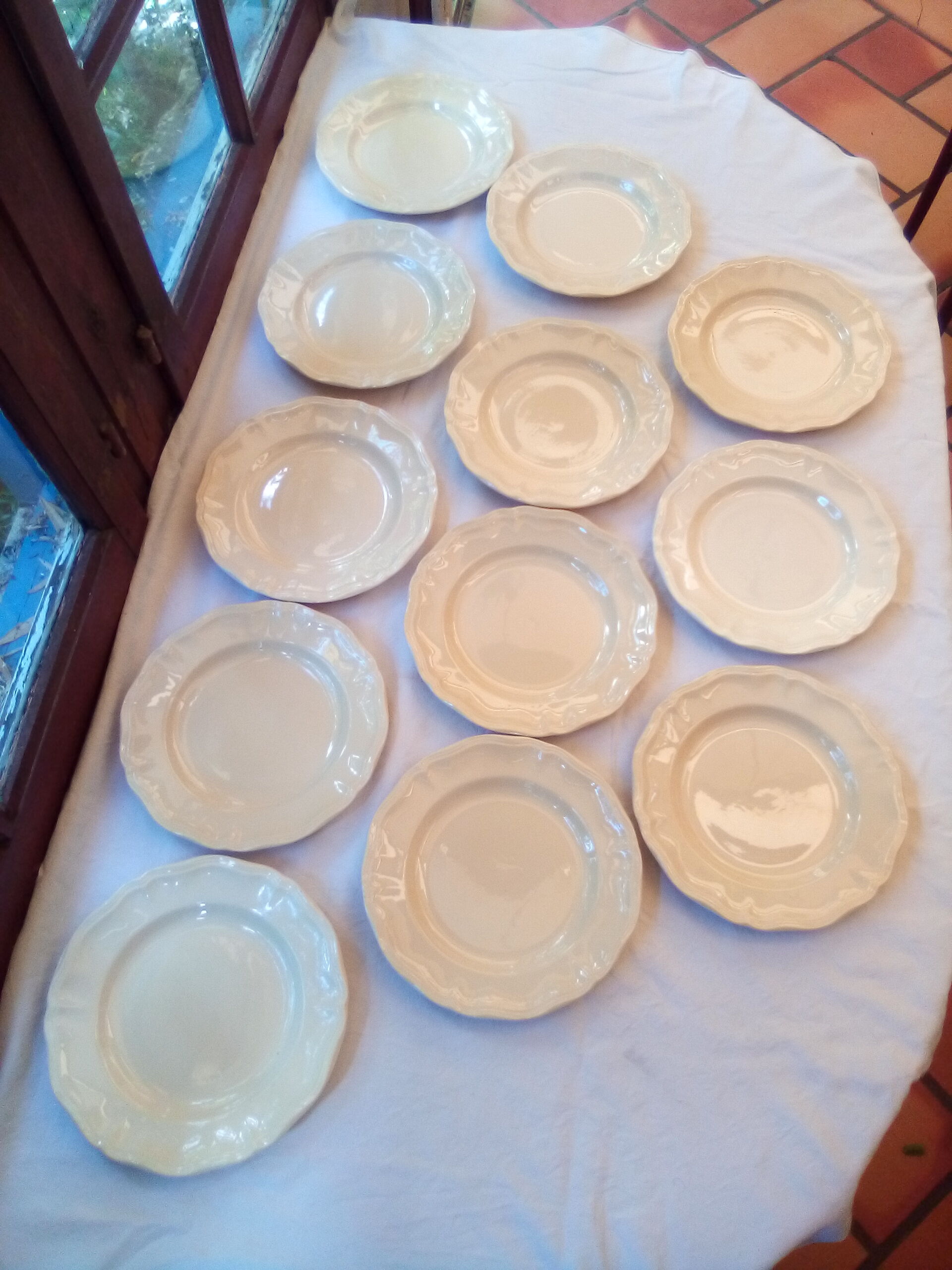 12 flat plates digoin