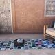 Tapis Marocain Boucherouite coloré - 81 x 284 cm