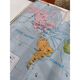 Laminated world map by P. Serryn 1972