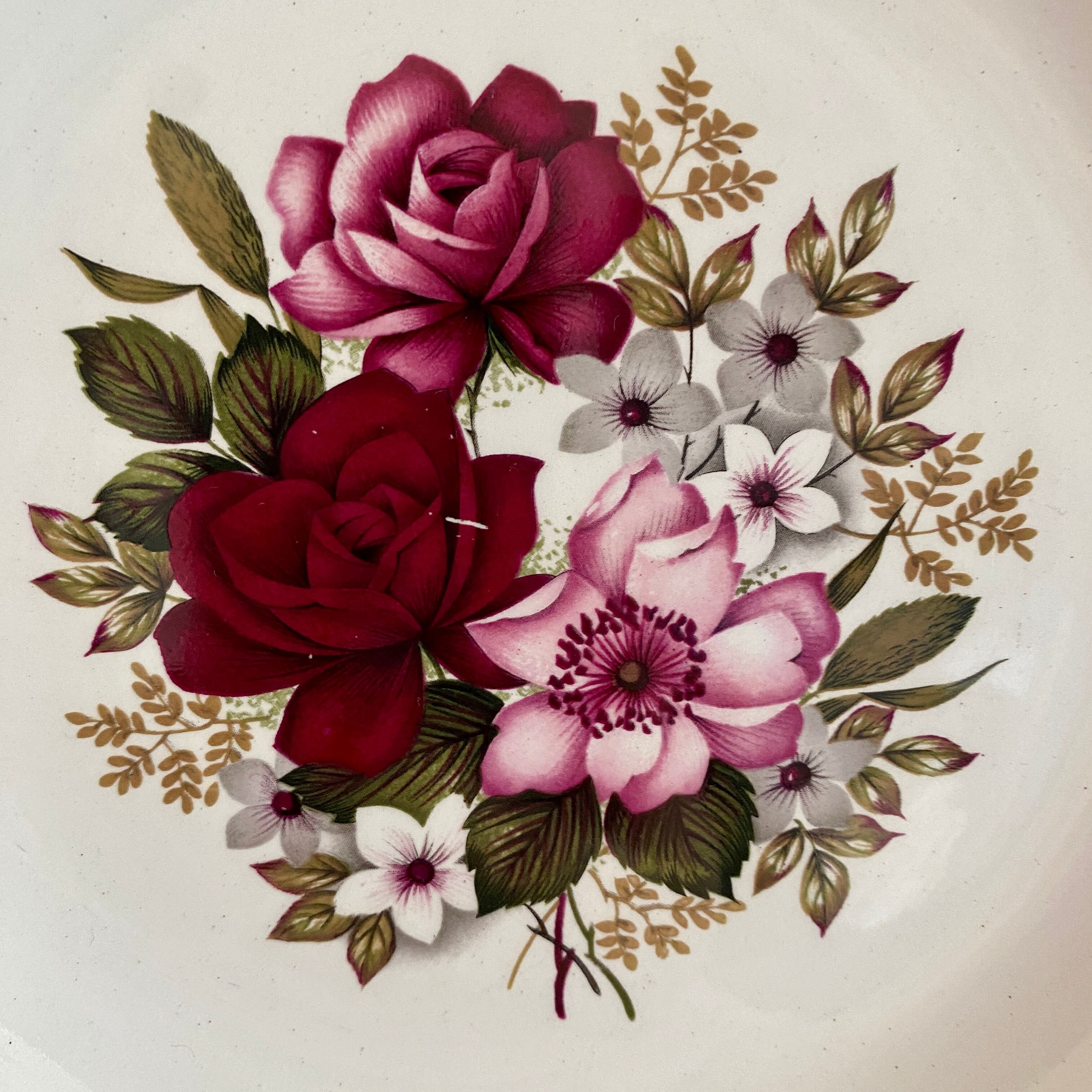 Set of 6 plates hollow vintage Moulin des Loups