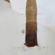Old chistera, large glove, 62cm, Basque Country, cesta punta, jai alai