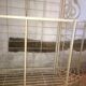 Lot bakery shelves