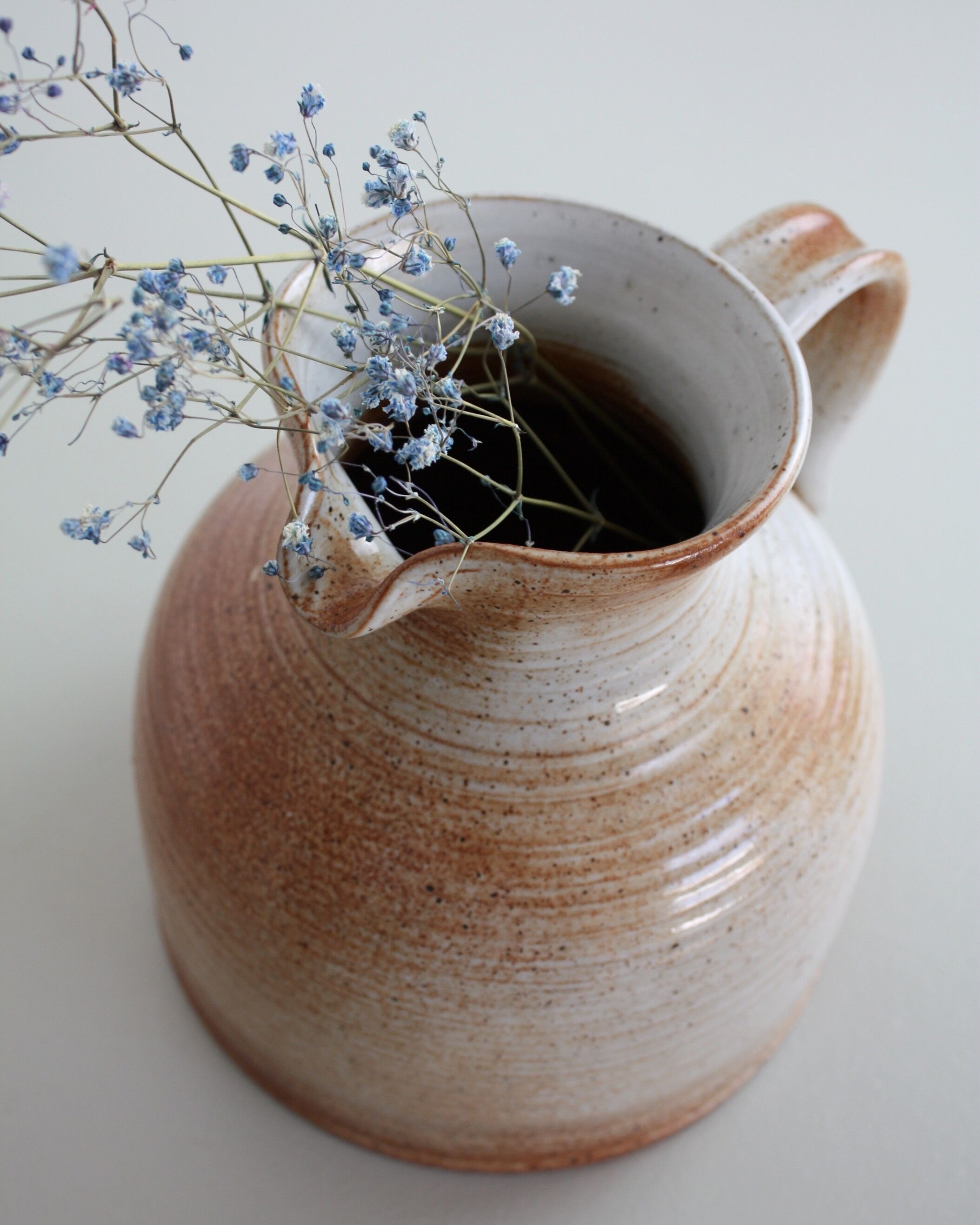 Pitcher Sandstone of the Marais