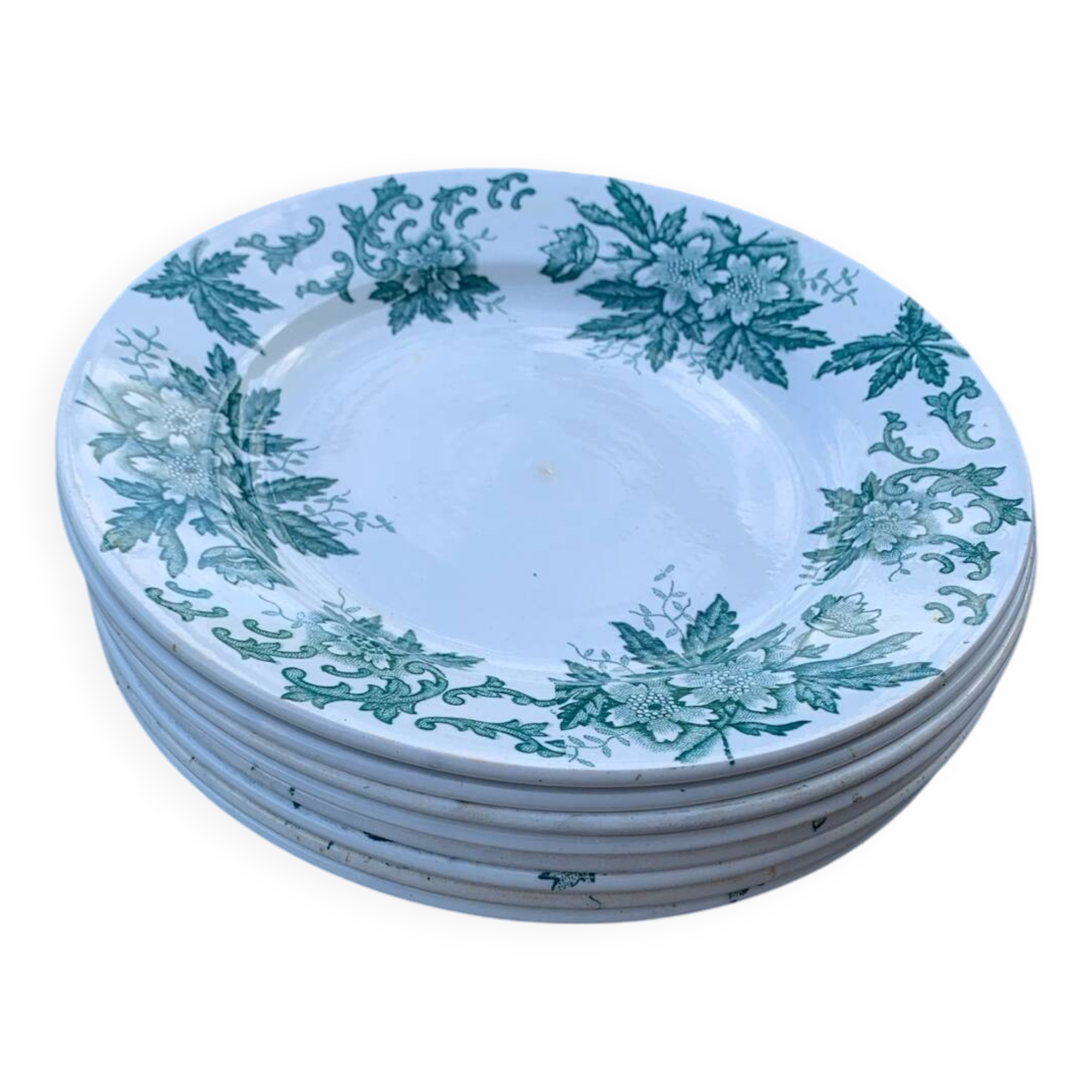 8 St Amand Nord Anémone dinner plates