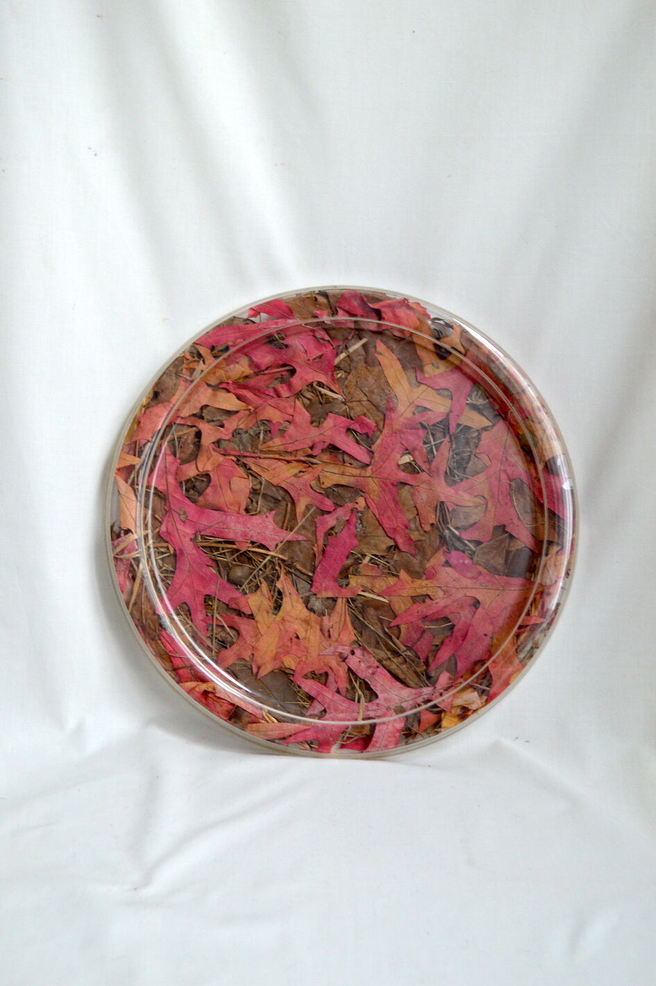 Plateau Christian Dior