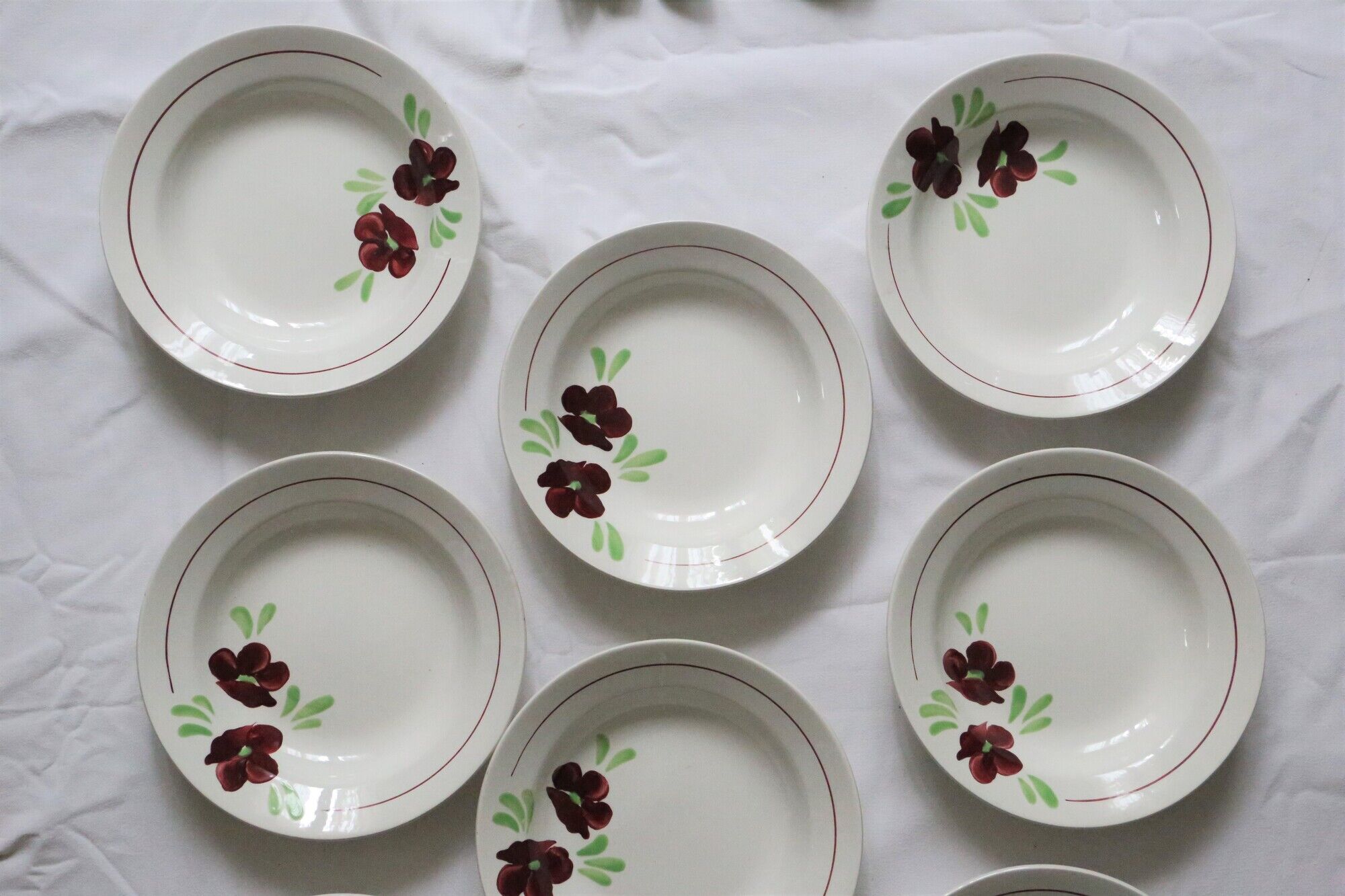 Set of 9 Salins hollow plates, Ninon pattern, French vintage, authentic, rare, countryside