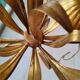 Golden lustre