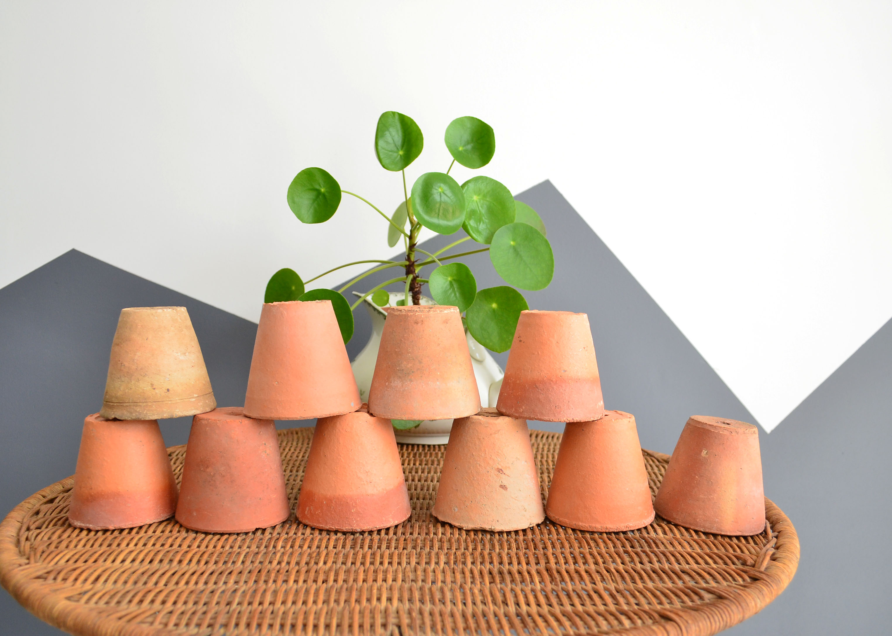 10 old terracotta seedling pots