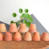 10 old terracotta seedling pots