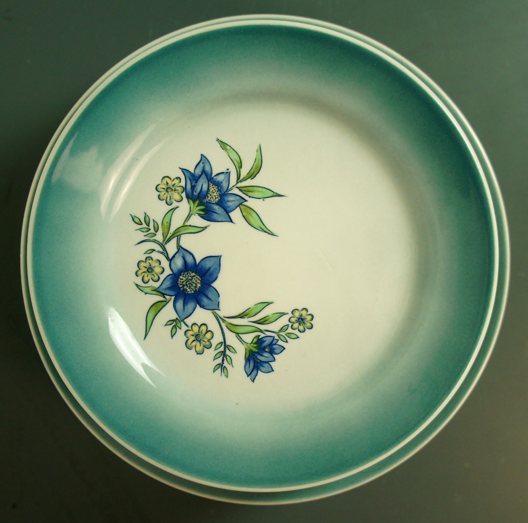 Set of 14 plates from Pedernal Corona, Colombia, 1995
