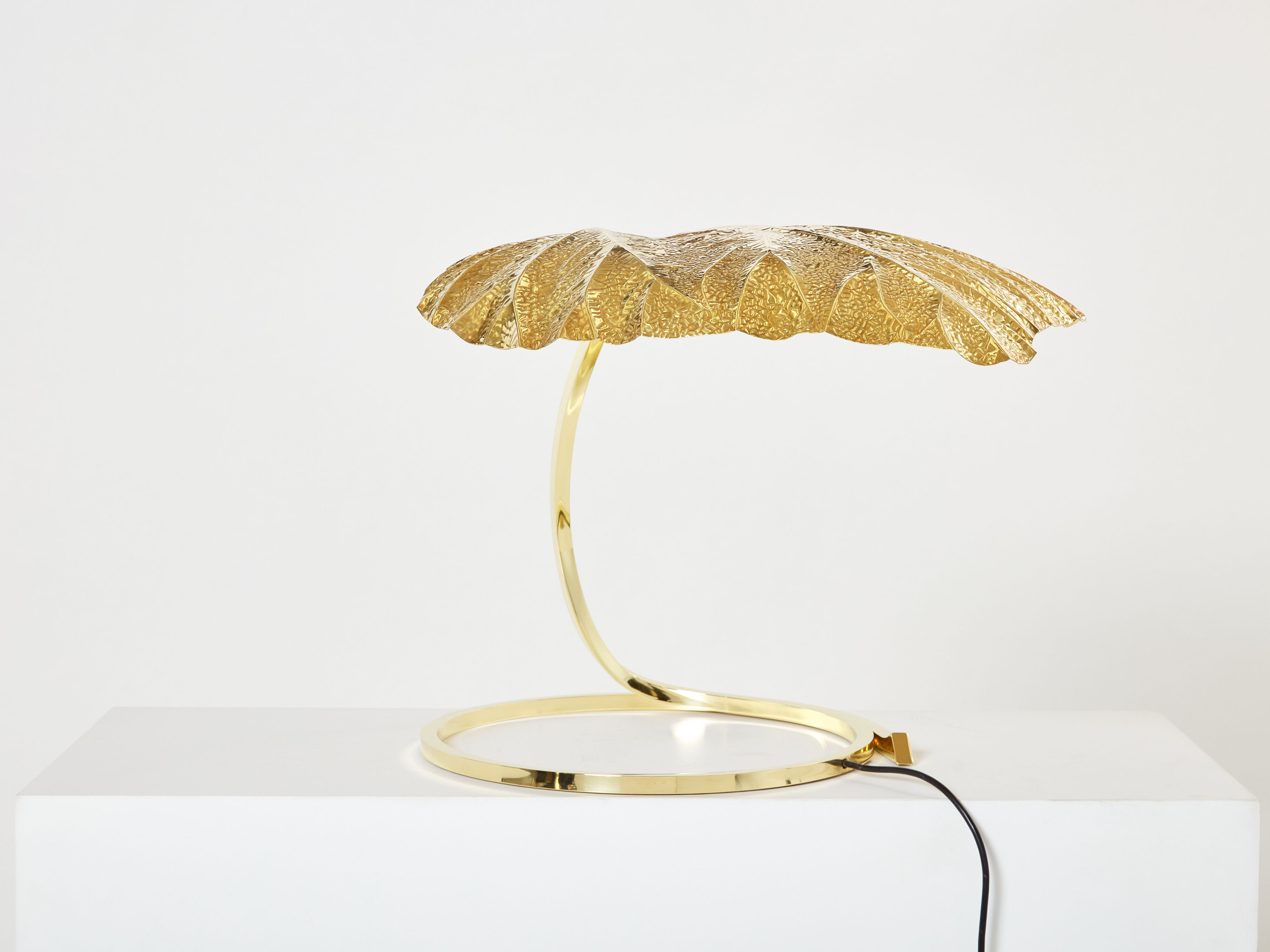 Rhubarb lamp in brass by Tommaso Barbi 1970
