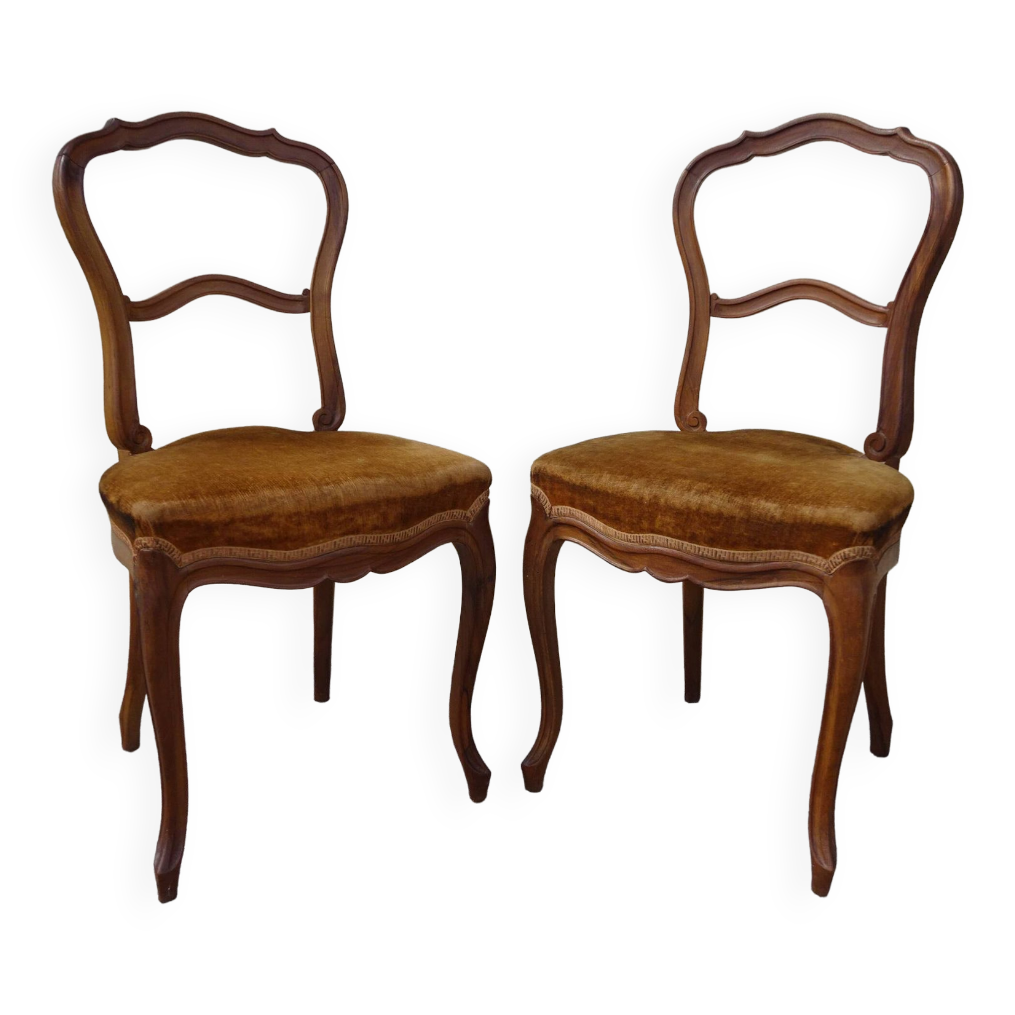 2 old chairs in walnut and velvet