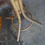 Coat rack rattan parrot