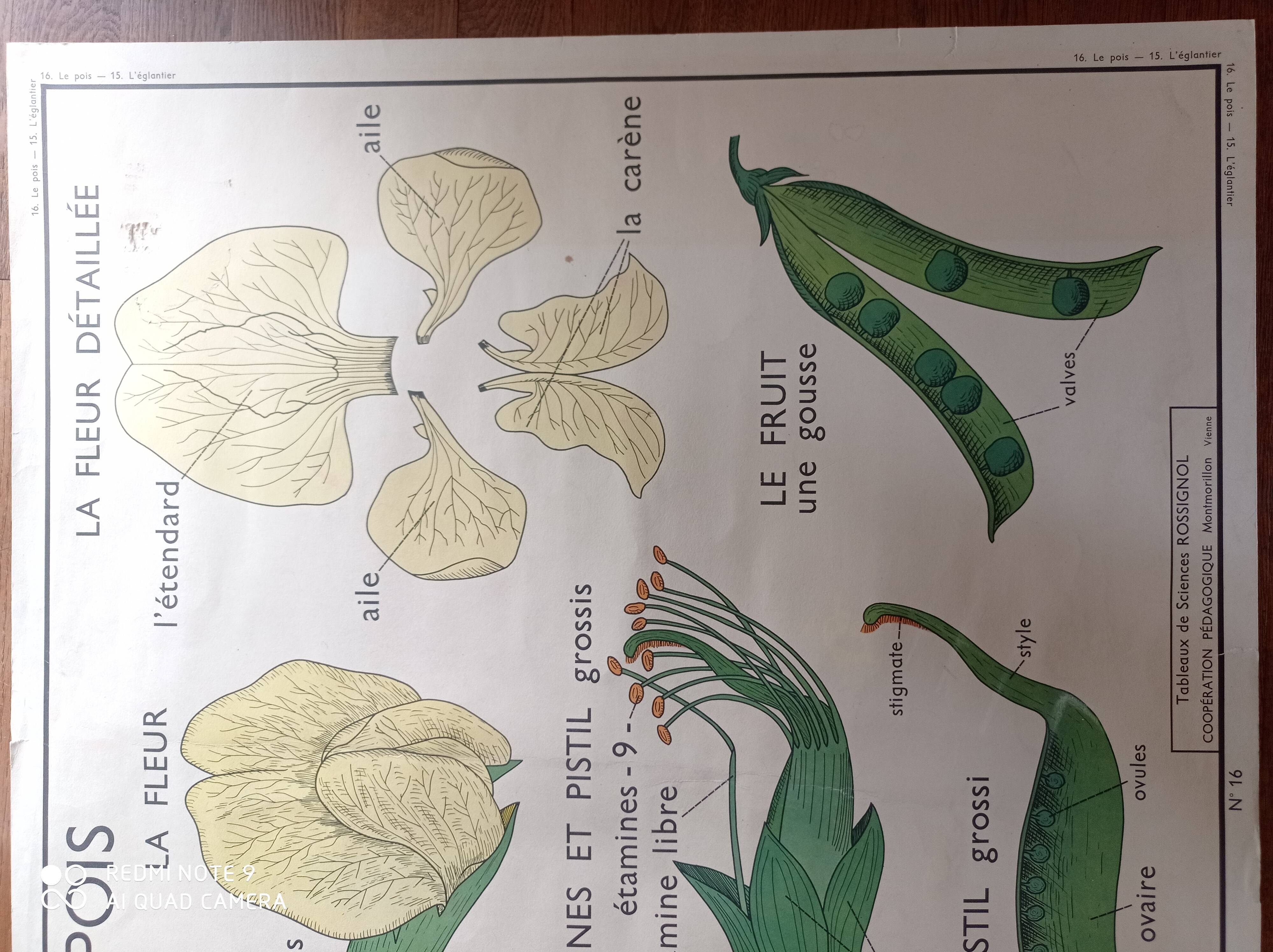 Vintage school poster