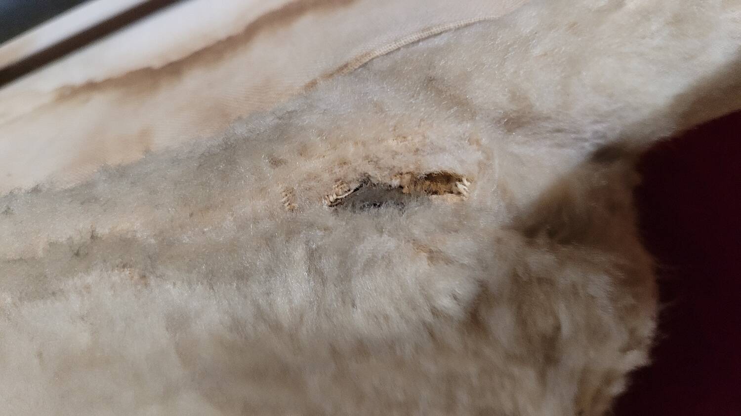 Pair of vintage "Moumoute" chairs -1950s