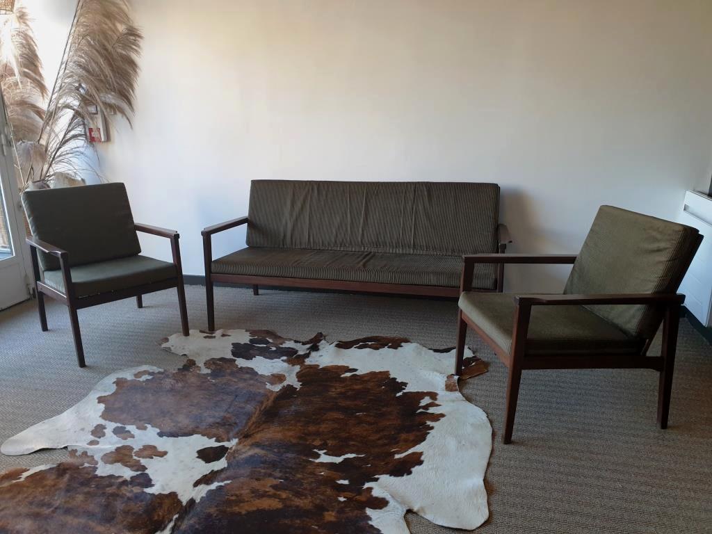 Scandinavian living room armchairs and sofa