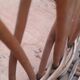 Vintage 50s planter on rattan stand