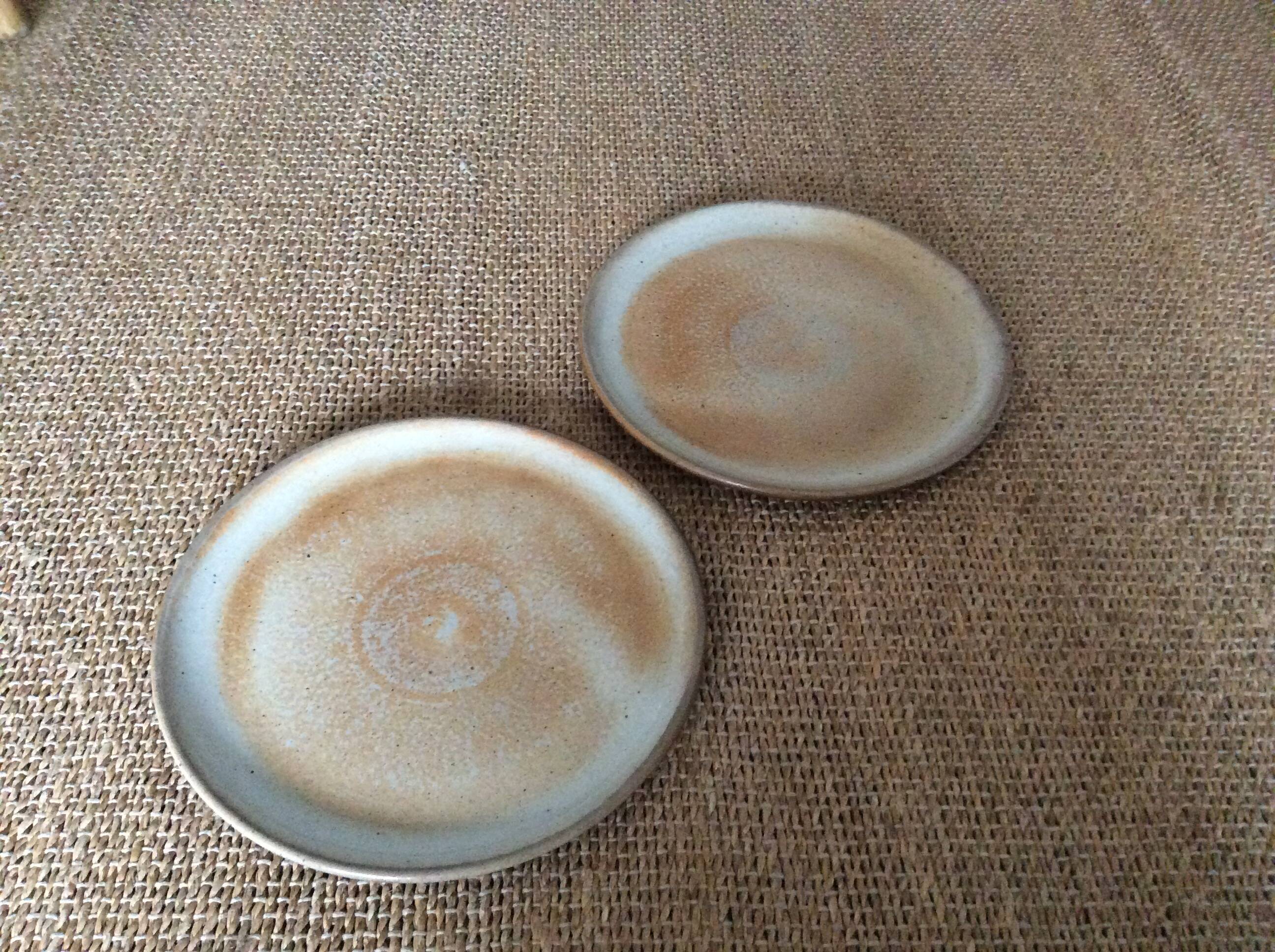 2 stoneware dinner plates
