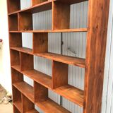 Vintage library