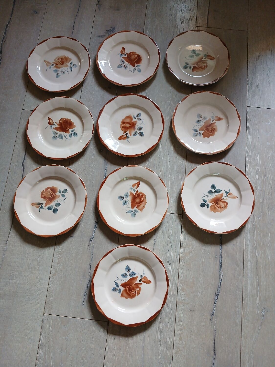 25 old Digoin and Sarreguemines plates