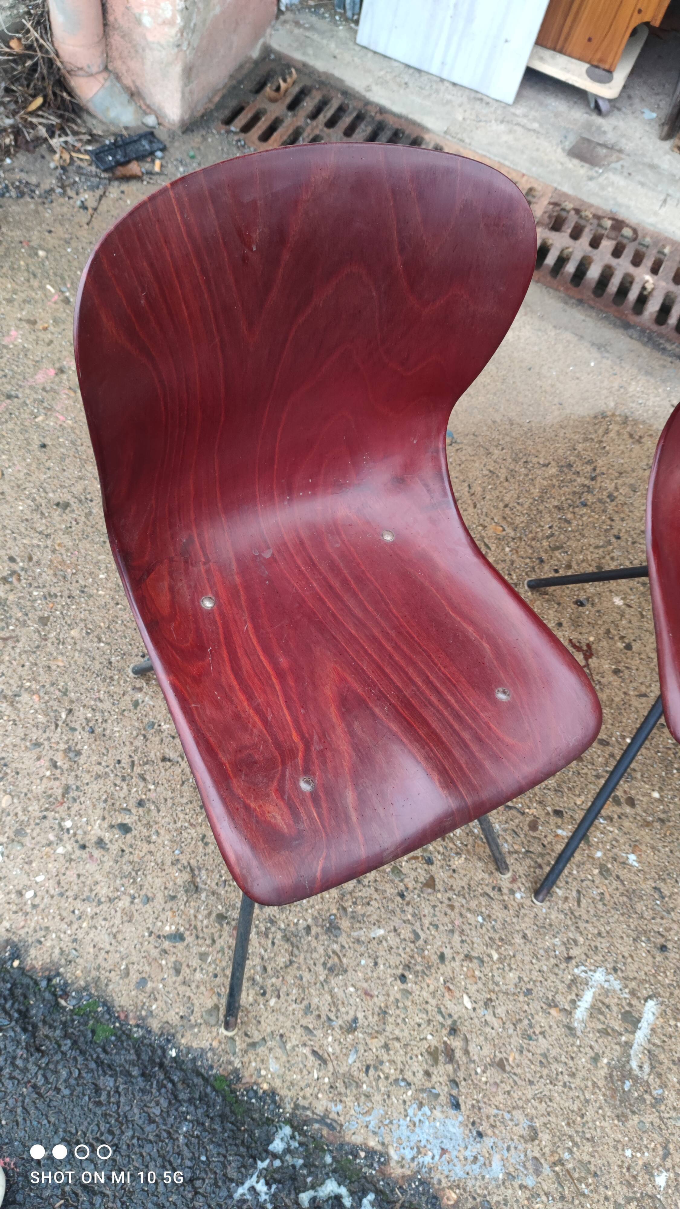 Pair of Pagholz chairs, Model 15074, by Elmar Flottoto in 1956